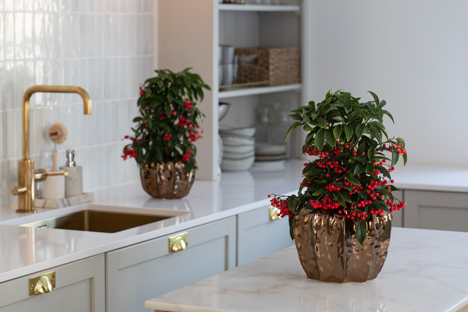 Ardisia i Deco potter